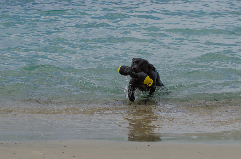  Marta pliva i uživa na moru 